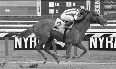  ?? ADAM COGLIANESE/NYRA ?? Network Effect, shown winning his maiden Aug. 11, should offer value in the Future Wager.