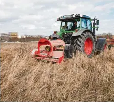  ?? Foto: Klaus Rainer Krieger ?? Ein Traktor räumt auf: Was auf der sogenannte­n Flugplatzh­eide in Haunstette­n pas sieren sollte, sorgte für Kontrovers­en.