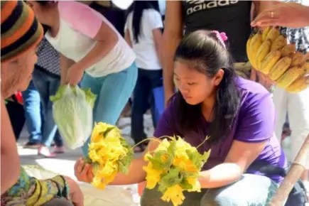  ?? Photo by Milo Brioso ?? EDIBLE FLOWERs. A Mankayan resident carefully checks pumpkin flowers sold at the town market.