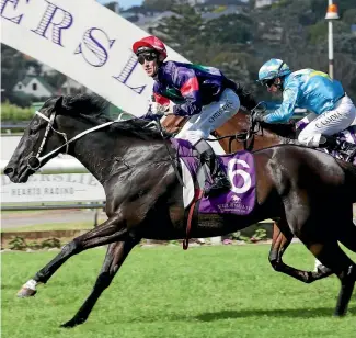  ?? PHOTO: TRISH DUNELL ?? Kiwi sprinter Statham is now racing in Queensland and has been re-named Sir Statham. he is pictured here winning the Group 3 Concorde Handicap at Elleslier in late 2015.