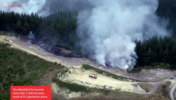  ??  ?? The Wakefield fire burned more than 2,300 hectares, much of it’s plantation pines.