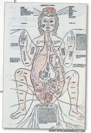  ?? WWW.BRIDGEMANI­MAGES.COM ?? Impresión a color.
La anatomía de una mujer embarazada, ilustració­n de los Fasciculus
Medicinae de Johannes de Ketham (1491)