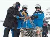  ??  ?? Experience a King Crab Fishing Tour at Kirkenes.