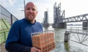  ??  ?? Professor Jonas Schoelynck toont de kleine kooien die de duikers in het water laten zakken. Over een paar weken worden alle organismen in en rond de bakstenen geanalysee­rd.