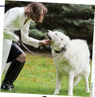  ?? ?? Making the most of every precious moment together: Barbara with her beloved Arpad in his later years