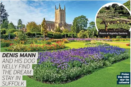 STAY IN SUFFOLK WALKIES - PressReader