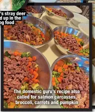  ?? ?? The domestic guru’s recipe also called for salmon carcasses, broccoli, carrots and pumpkin