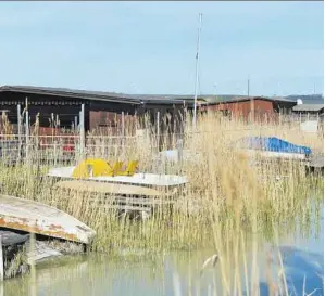  ??  ?? Der Neusiedler See leidet massiv unter der Trockenhei­t, der Wasserstan­d