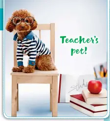  ??  ?? Teacher’s pet!