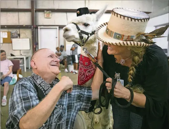  ?? RALPH BARRERA / AMERICAN-STATESMAN PHOTOS ?? Loretta Hajovsky has registered her pack of alpacas as emotional support animals, and she took them for a visit to Texas Rural Health Services in LaGrange recently. This is alpaca Tex visiting Johnny in early August.