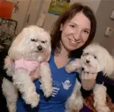  ?? Peter Diana/Post-Gazette ?? Nicole Orlando with her Maltese dogs Jupiter, right, and Penny.
