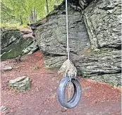  ??  ?? Old rope FLS is asking for the public’s view about a tyre swing in Weem Woods