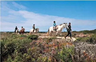  ??  ?? Em toda a costa, mas em especial na Zambujeira do Mar, encontrará passeios a cavalo (procure informação junto do turismo rural)