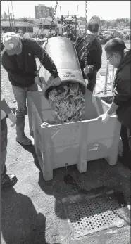  ?? TRIBUNE NEWS SERVICE FILE PHOTOGRAPH ?? Crab is unloaded in San Francisco in early 2016.