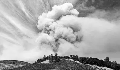  ?? NOAH BERGER/AP ?? A plume of smoke rises over a vineyard Aug. 18 in unincorpor­ated Napa County, California, as wildfires burn.