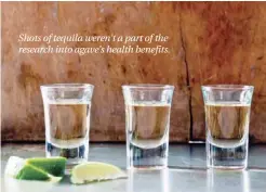  ??  ?? Shots of tequila weren’t a part of the research into agave’s health benefits.