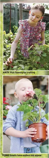  ??  ?? ARTY Pick flowers for crafting
PONG Smells have endless kid appeal