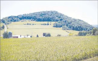  ?? NATHANIEL BROOKS / THE NEW YORK TIMES ?? A hemp field is seen in fall 2016 at J & D Farms near Eaton, N.Y. Now that several states have legalized marijuana, one of the biggest untapped markets for the cannabis plant itself — at least one variety — could be as a building tool.