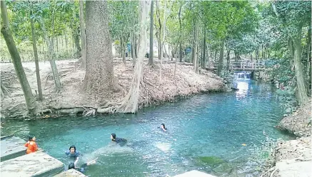  ??  ?? Pak Chong Spring, or Ban Tha Chang Spring, in Moo Si is filled with fresh spring water all year round. Filtered by several layers of rocks high in calcium carbonate, the water is crystal clear and turquoise-coloured. Swimming is allowed in the four...