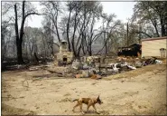  ?? NOAH BERGER — THE ASSOCIATED PRESS ?? The remains of a lodge after the McKinney Fire on Tuesday in Klamath National Forest in California. The fire wiped out the town of Klamath River.