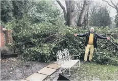  ?? ?? Nigel Ryan in front of a felled tree at Grove Garden, Haywards Heath