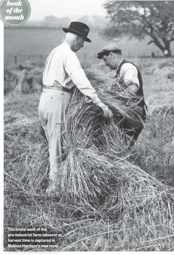  ??  ?? The brutal work of the pre-industrial farm labourer at harvest time is captured in Melissa Harrison’s new novel