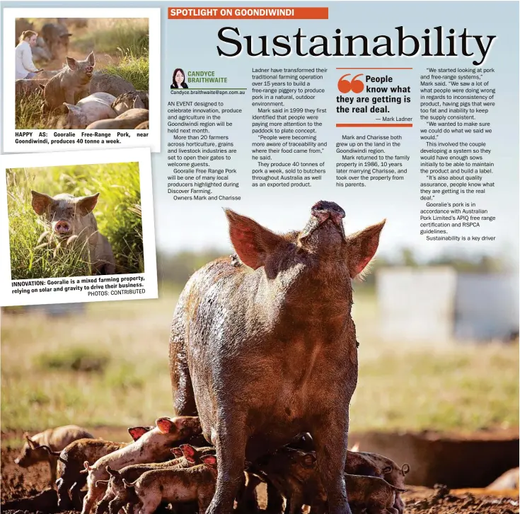  ?? PHOTOS: CONTRIBUTE­D ?? HAPPY AS: Gooralie Free-Range Pork, near Goondiwind­i, produces 40 tonne a week. INNOVATION: Gooralie is a mixed farming property, relying on solar and gravity to drive their business.