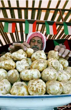  ??  ?? A Kuwaiti vendor arranges truffles for sale at a market in al-Rai, an industrial zone northwest of Kuwait City.