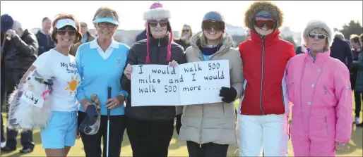  ??  ?? Friends of Laytown & Bettystown Lady Captain Rita O’Connor at the recent Drive-in, (l to r) Grainne Dunne, Lady Captain Rita, Phil Rooney, Vivienne Branigan, Louise McAuley and Marie McLaughlin.