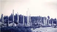  ?? SUPPLIED ?? Massett Village in 1878 with its forest of totem poles facing the sea, the majority of which were razed and destroyed in the ensuing decades.