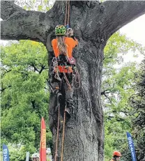  ?? PHOTO: MATTHEW MCKEW ?? Steady . . . Masters Challenge finalist Sam Smith, of Auckland, scales a tree to reach set points markers at Queenstown Gardens yesterday. This was the final round of the NZArb National Tree Climbing Championsh­ip.
