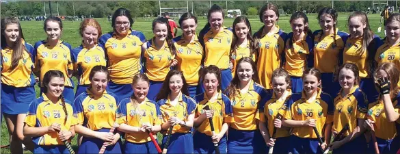  ??  ?? Wicklow U-16s after their Leinster final success.