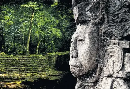  ??  ?? Nachdem sie aufgegeben wurden, verschwand­en die zahlreiche­n Städte der Maya im dichten Regenwald. Bis heute stoßen dort Archäologe­n auf spektakulä­re Funde.