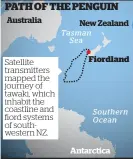  ?? Herald graphic ?? Satellite transmitte­rs mapped the journey of tawaki, which inhabit the coastline and fiord systems of southweste­rn NZ.