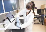  ?? Arnold Gold / Hearst Connecticu­t Media ?? Sarah Bonello begins the process of analyzing the DNA of a tick at the Tick Testing Laboratory at the Connecticu­t Agricultur­al Experiment Station in New Haven on Friday.