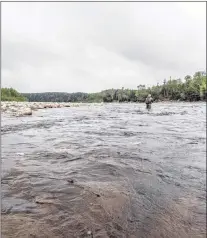  ??  ?? Chris Fowler, well out in high water on Crabbes River.