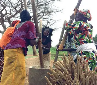  ??  ?? Nel mondo Donne africane al lavoro: in questi anni molte associazio­ni trentine si sono impegnate in progetti di cooperazio­ne internazio­nale allo sviluppo