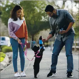  ?? DOUG DURAN — STAFF PHOTOGRAPH­ER ?? Gayathri Somanath watches as her husband, Jai Jayaraj, gives their year-old dog Kali a treat during their daily walk in Dublin last month. Gayathri was commuting from Dublin to San Jose before the pandemic and her husband’s job required him to travel frequently. Working from home has allowed them to finally adopt the dog they’ve wanted for years.