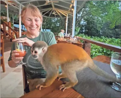  ?? Linda Meek ?? Berry College professor Sandra Meek has to grab her drink from the prying hands of a curious Squirrel Monkey.
