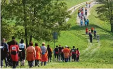  ?? Foto: M. Heindl ?? Entspannt durch die Natur walken können die Teilnehmer bei den Veranstalt­ungen, die der Aktiv Park seit zehn Jahren organisier­t. Am kommenden Sonntag findet aus diesem Anlass in Blossenau ein besonderer „Schleiferl­lauf“statt.