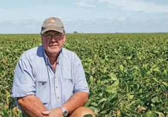  ??  ?? Norwin farmer Rod Ferguson was very pleased with the performanc­e of the newly released OnyxAU black gram variety.