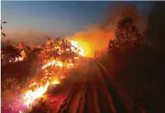  ?? Foto: Christian Niel Berlinck, dpa ?? Vom Wind angefacht überspring­t das Feuer im Amazonas spielend Straßen und Sandpisten. Die Helfer geraten oft in Gefahr.