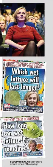  ?? ?? Daily Star’s lettuce versus PM campaign