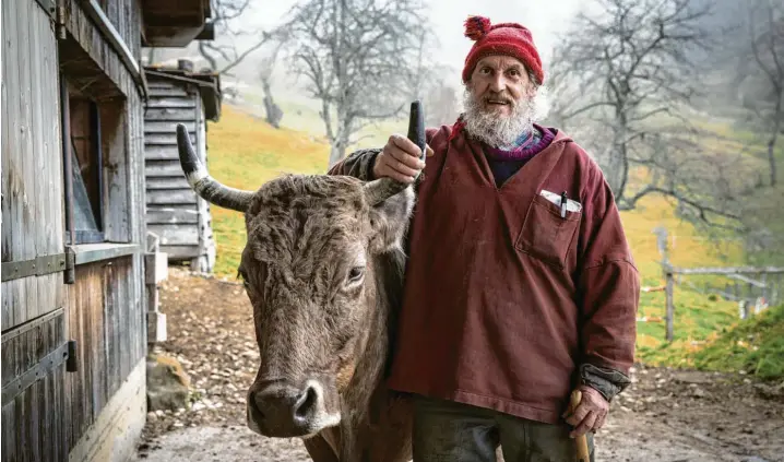  ?? Foto: Jan Dirk Herbermann ?? Der Mensch hat kein Recht, die Körperteil­e von Kühen abzuschnei­den, sagt Armin Capaul. Deshalb hat der Bergbauer eine Volksabsti­mmung in der Schweiz auf den Weg gebracht.