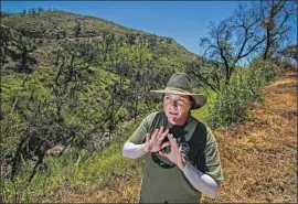  ?? Photograph­s by Brian van der Brug Los Angeles Times ?? WILDLIFE ECOLOGIST Katy Delaney has dedicated eight years of her life to reintroduc­ing the California red-legged frog to the Santa Monica Mountains.