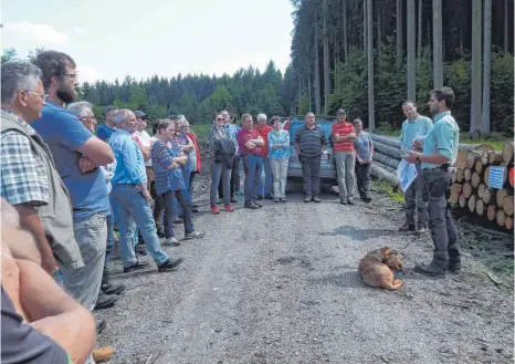  ?? FOTO: WOLFGANG LUTZ ?? Betriebsst­ellenleite­r Georg Löffler (von rechts) und Revierleit­er Armin Schlegel boten beim Waldbegang Informatio­nen aus erster Hand.