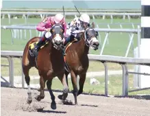  ??  ?? Archivo. Acción en una pasada competenci­a celebrada en el Gulfstream Park.