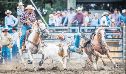 ?? PICTURE / SUPPLIED ?? Daniel McCready in action at the national rodeo final in Christchur­ch earlier this month on way to taking out the steer wrestling title.
