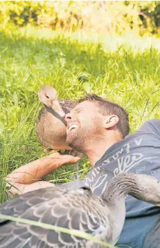  ?? FOTO: TOBIAS GERBER ?? Die Liebesbeze­ugungen der Gänse konnten durchaus schmerzhaf­t sein. Für Michael Quetting war es jedenfalls ein großes Abenteuer.