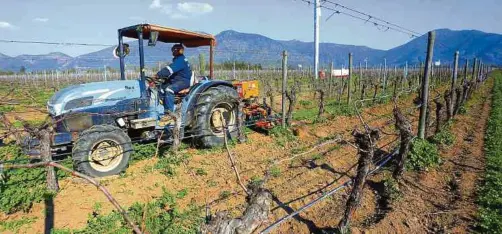  ??  ?? Las granjas completan una década de trabajo sostenible en el que los mismos desechos orgánicos son la base del compostaje y el abono de sus tierras.